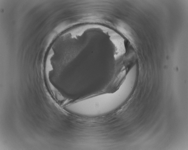 X0000081491334200702021913