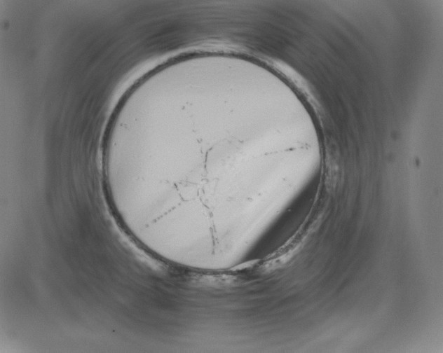 X0000081491335200702021913