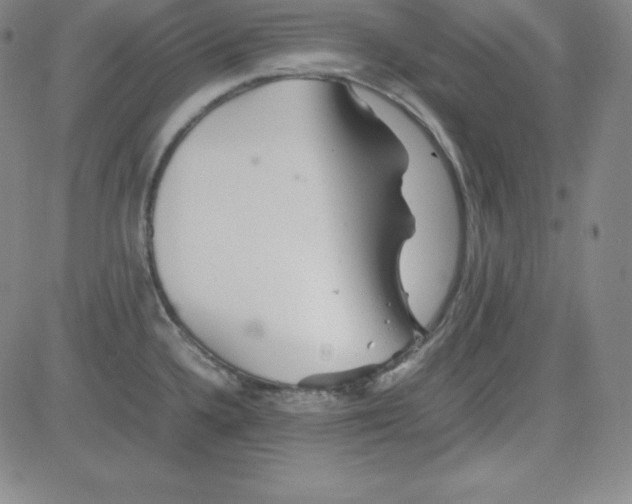 X0000081491336200702021913