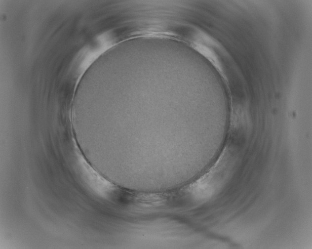 X0000081491338200702021913