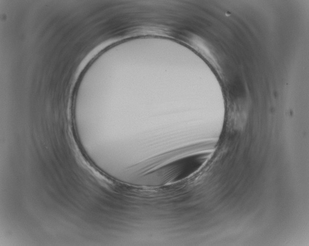 X0000081491339200702021913