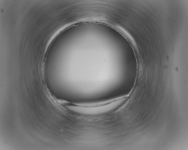 X0000081491340200702021913