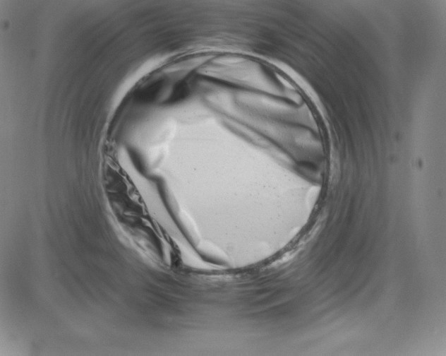 X0000081491341200702021913