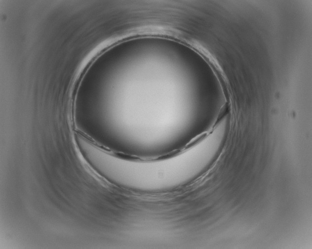 X0000081491342200702021913