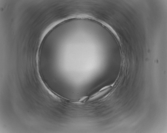 X0000081491343200702021913