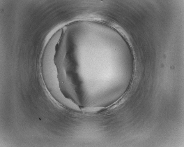 X0000081491344200702021913