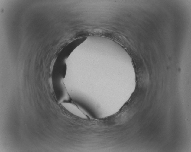 X0000081491345200702021912