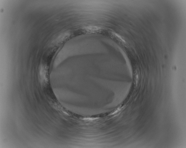 X0000081491346200702021912