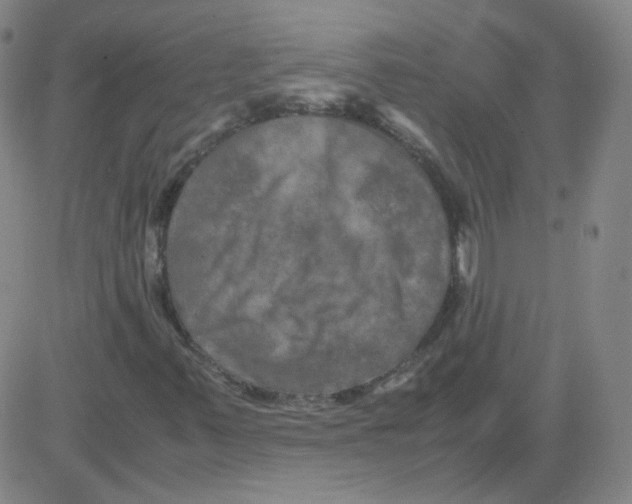 X0000081491347200702021912