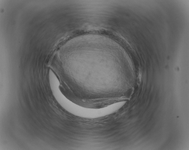 X0000081491348200702021912