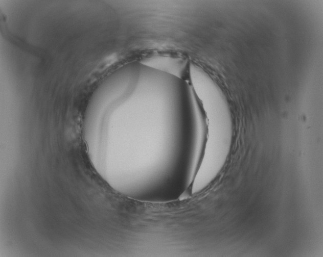 X0000081491349200702021912