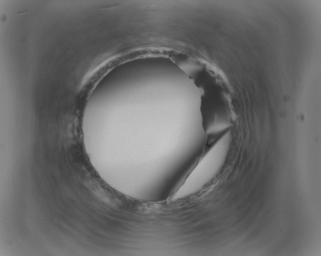 X0000081491352200702021912