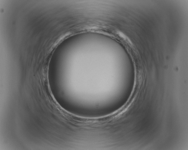 X0000081491353200702021912