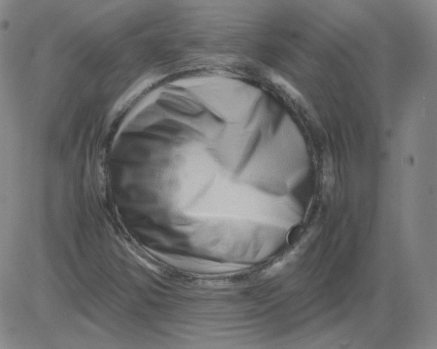 X0000081491354200702021912