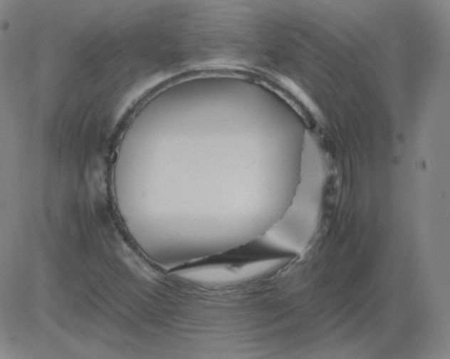 X0000081491356200702021912