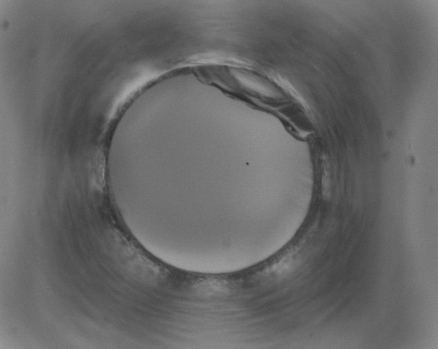 X0000081491358200702021912