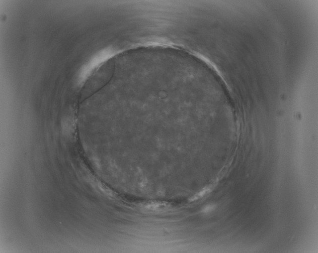 X0000081491359200702021912