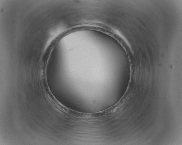 X0000081491360200702021912