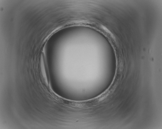 X0000081491361200702021912