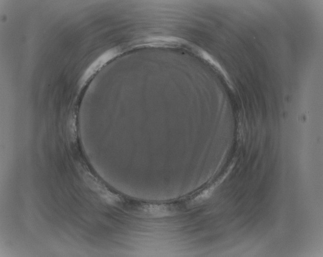 X0000081491362200702021912