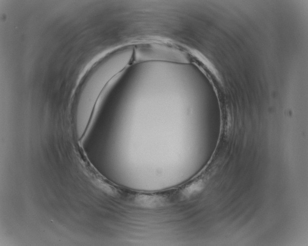 X0000081491364200702021912