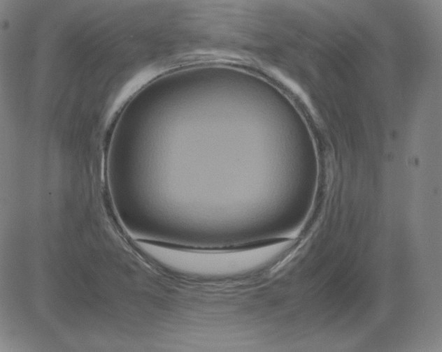 X0000081491365200702021912