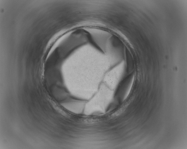 X0000081491366200702021912