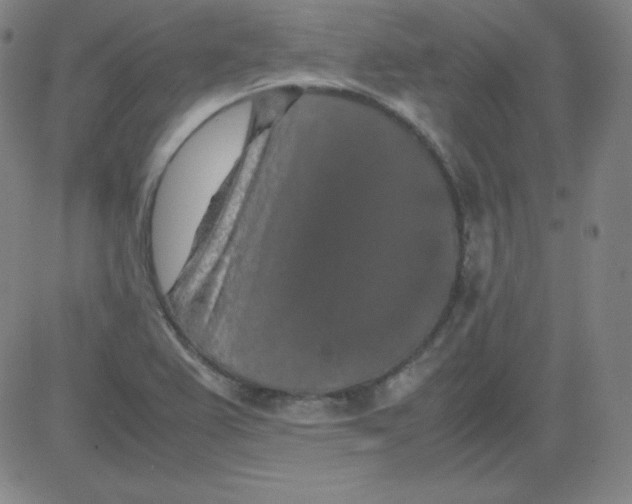 X0000081491367200702021912