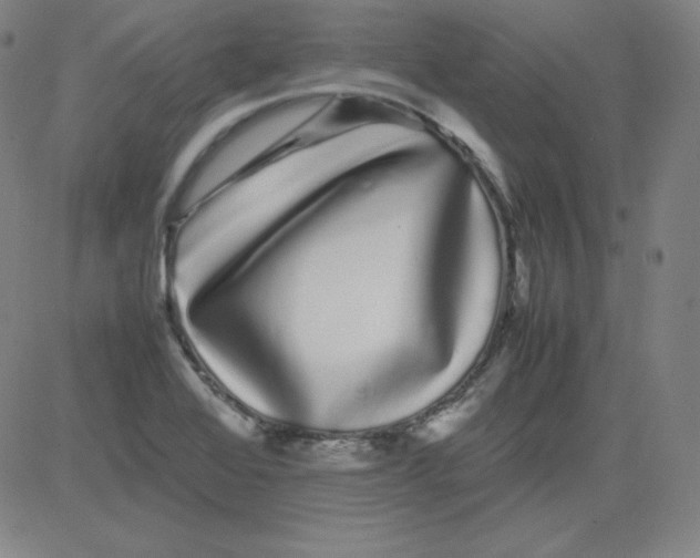 X0000081491368200702021912