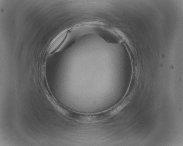 X0000081491369200702021912