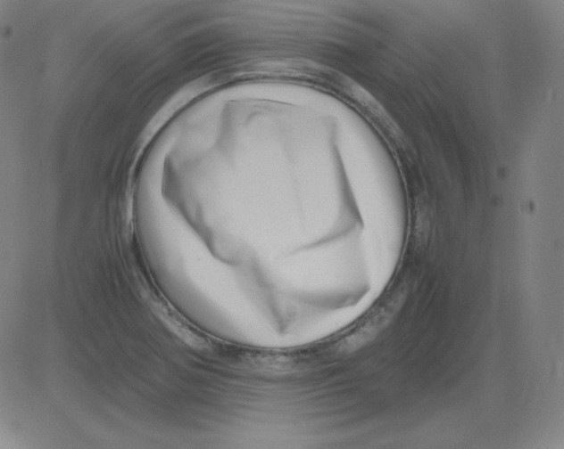 X0000081491370200702021912