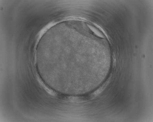 X0000081491371200702021912