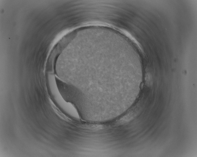 X0000081491372200702021912