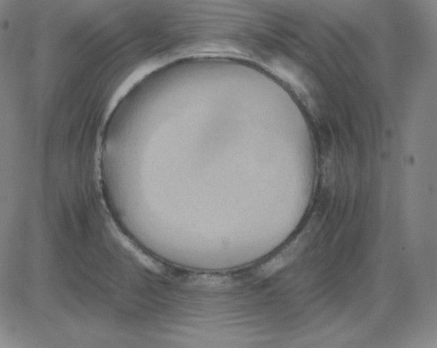 X0000081491374200702021912