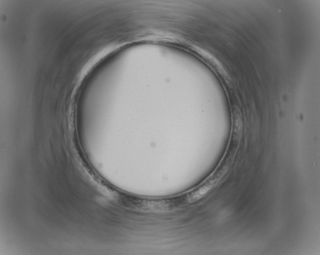 X0000081491375200702021912