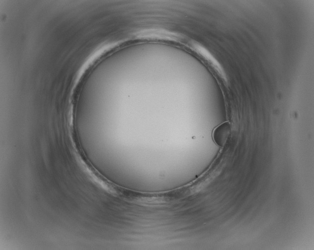 X0000081491376200702021912