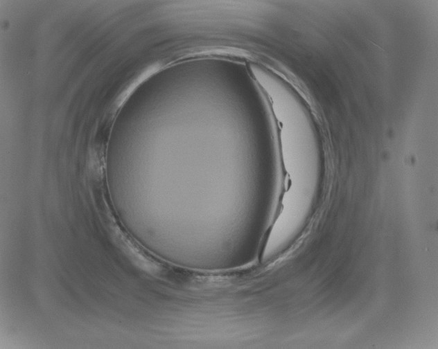 X0000081491377200702021912