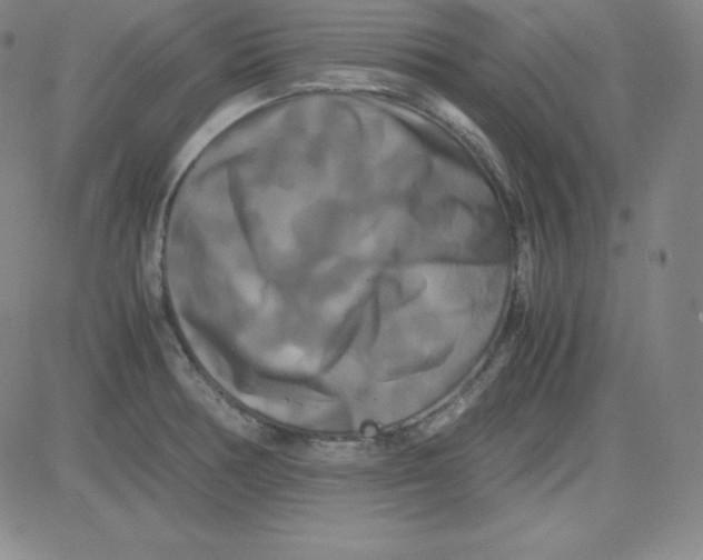 X0000081491378200702021912