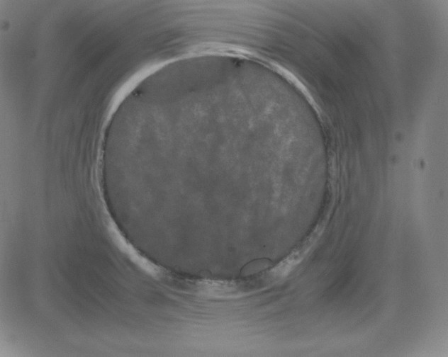 X0000081491379200702021912