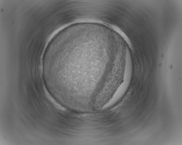 X0000081491380200702021912