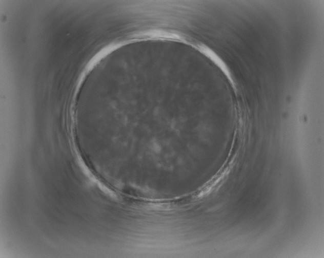 X0000081491381200702021912