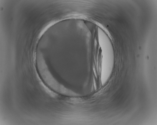 X0000081491383200702021912