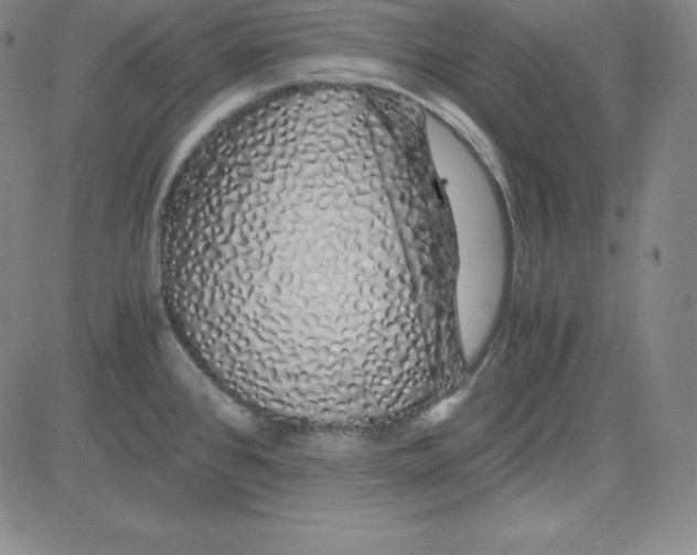 X0000081491384200702021912