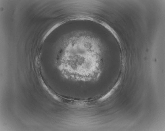 X0000081491385200702021912