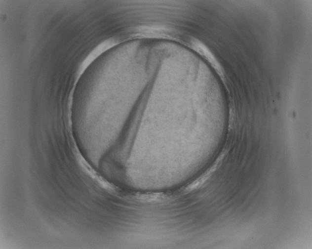 X0000081491386200702021912