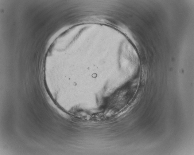 X0000081491387200702021912