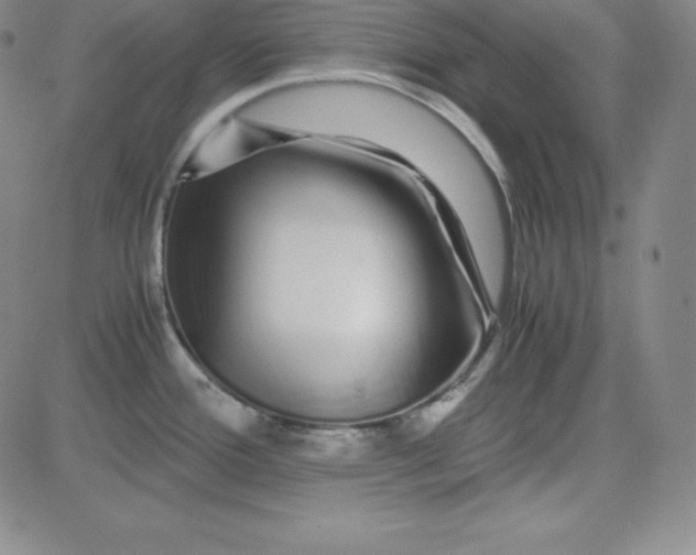 X0000081491388200702021912