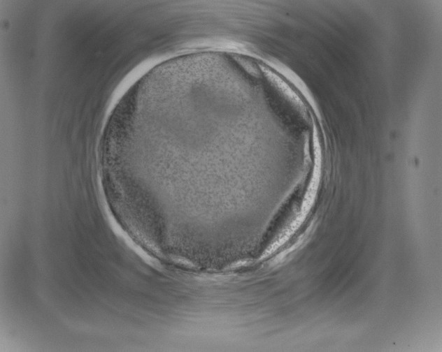 X0000081491389200702021912