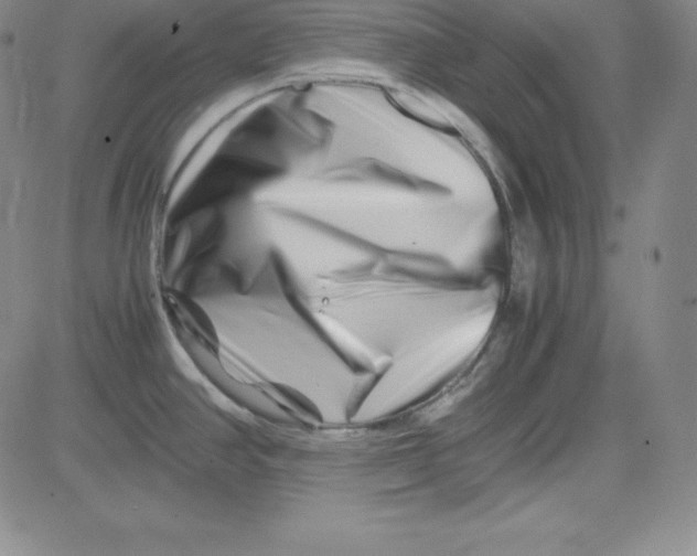 X0000081491390200702021912