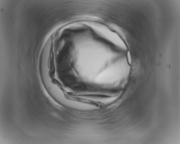 X0000081491391200702021912